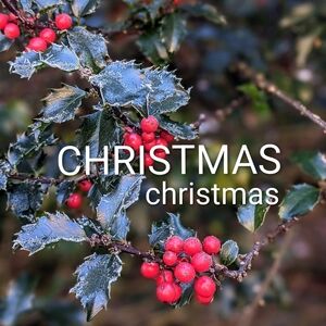 Happy Holly-days at The Little Shop of Floriculture